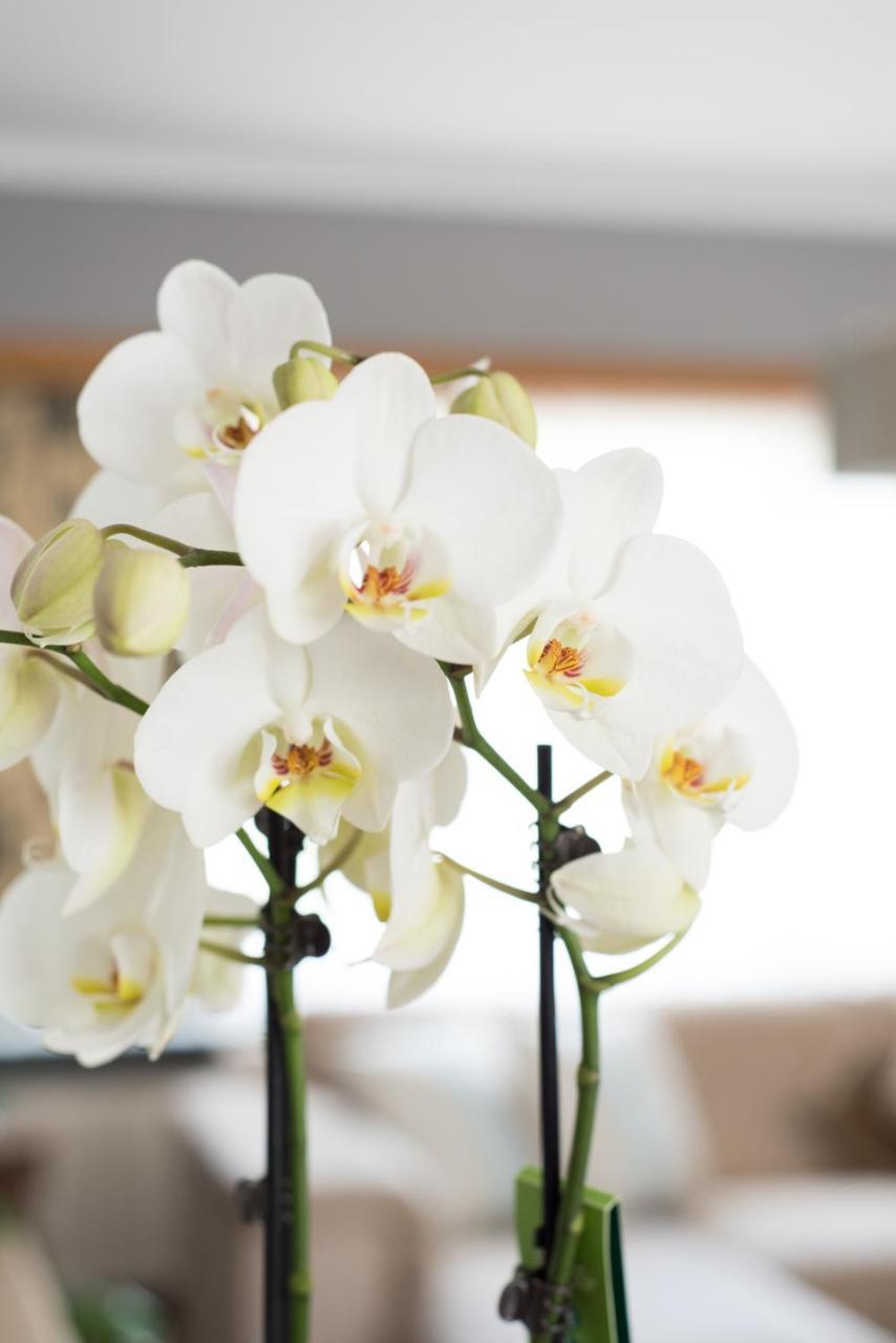 Lovely Guesthouse Lier Lint ภายนอก รูปภาพ